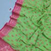 Indian-Parshina- Cotton-Saree (13)