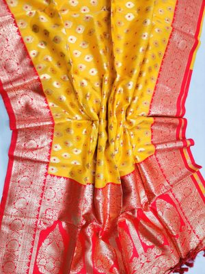 Indian-Parshina- Cotton-Saree (9)