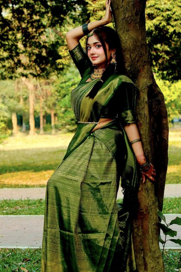 Kanjivaram saree